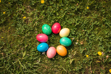 Fototapeta na wymiar Easter eggs in Spring grass