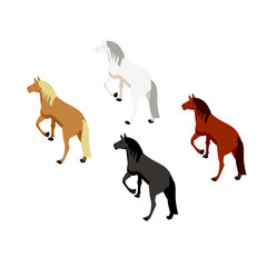 Isometric style horse collection.