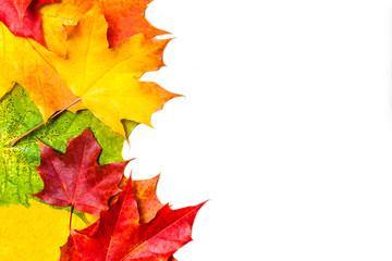 Autumn composition with yellow maple leaves on white wooden table. Beautiful Autumn background with copy space. Flat lay, top view, copy space.