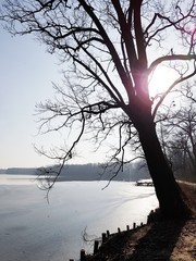 Jezioro © michalsen