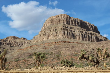 Arizona Desert