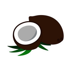 Coconut vector