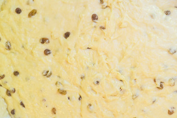 Yeast dough with raisins