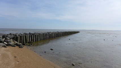 Fototapeta na wymiar Bunen im Wattenmeer bei Wilhelmshaven