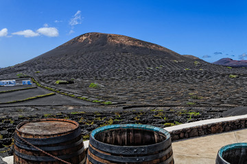 Lanzarote - Wine region La Geria