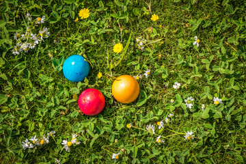 Easter eggs in Spring grass