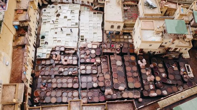 tannerie dans la ville de Fès au maroc 