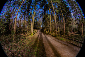 Fototapete bei efototapeten.de bestellen   