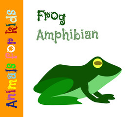 Frog. Amphibian. Animals for children. Cards for the development of the youngest children with the image of animals, birds, insects, reptiles. Vector. Color picture