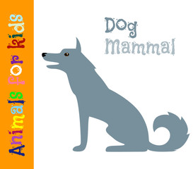 Dog. Mammal. Animals for children. Cards for the development of the youngest children with the image of animals, birds, insects, reptiles. Vector. Color picture
