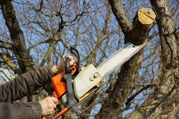 Man cutting branch tree using chainsaw - obrazy, fototapety, plakaty