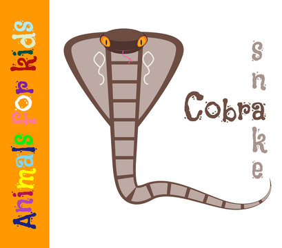 Cobra. Serpens. Reptile. Animals for children. Cards for the development of the youngest children with the image of animals, birds, insects, reptiles. Vector. Color picture