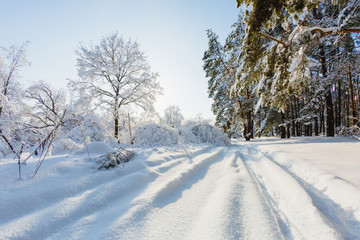 Obraz premium Beautiful winter landscape at the morning