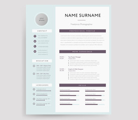 Professional CV / Resume template sample
