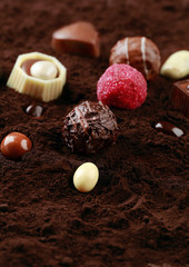 Chocolate Kind on Cocoa