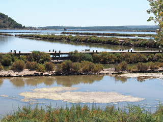 Peyriac de mer