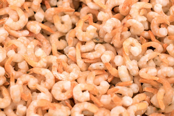 Shrimps background texture. A lot of sea shrimp or pattern of krill. Sea food like shrimp