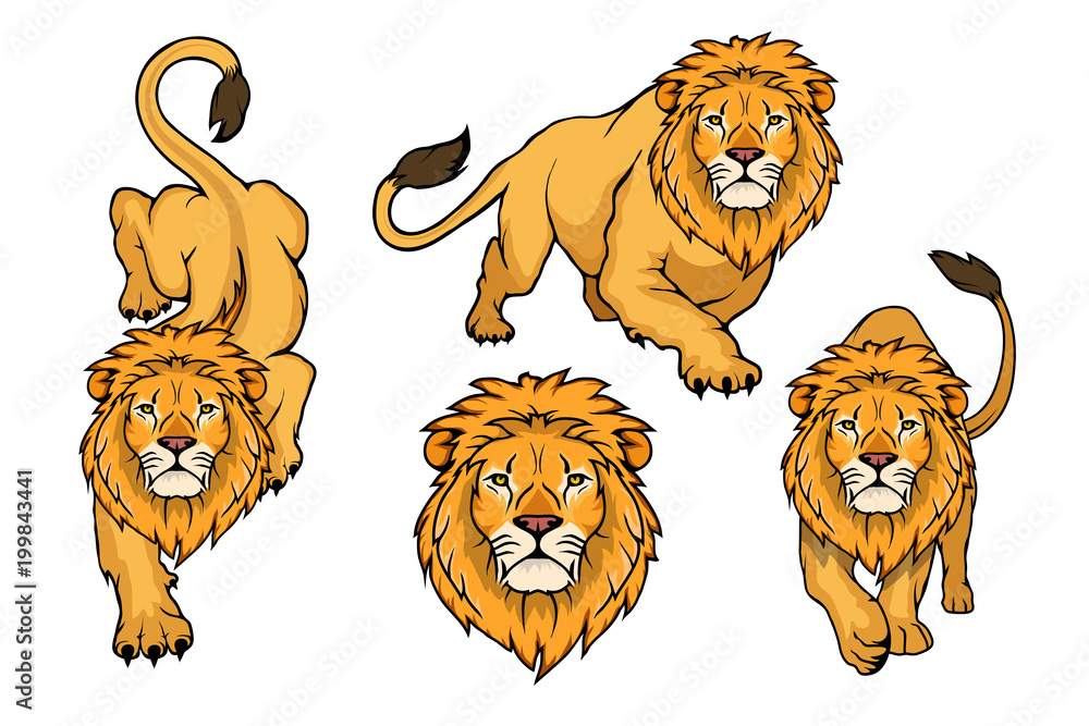 Wall mural set of lion logo.vector animal lion.king lion isolated on white background.