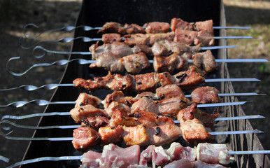 Shish kebab roasting on the grill. BBQ party.