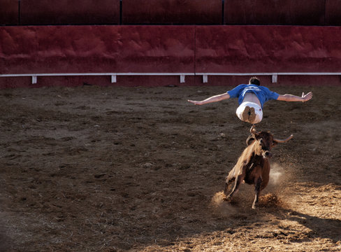Concurso de recortadores