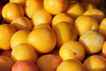 yellow and red plum under the sun on street market