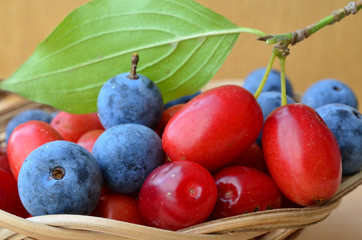 Curative Blackthorn and Cornelian cherries close up