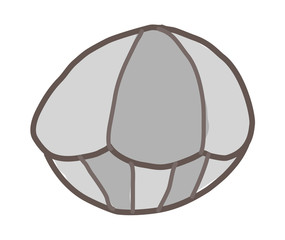vector icon