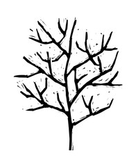 vector icon