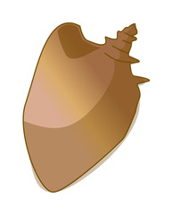 vector icon
