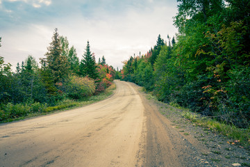 Fototapeta na wymiar turn on a rural road in Gaspe Quebec 