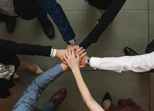 Business team showing unity