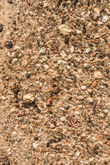 sand, stones of different size and leaves under the water in the sunlight, abstract background