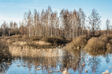 high water rivers and forests without leaves in the early spring, a clear sunny day