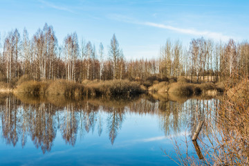 high water rivers and forests without leaves in the early spring, a clear sunny day
