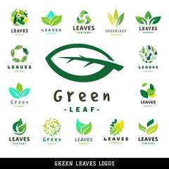 Green leaf eco design friendly nature elegance symbol and natural element ecology organic vector illustration.