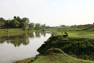 Fototapeta premium Dongting wetland scenery.