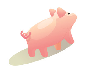icon pig