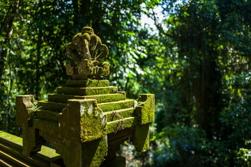 Surrounding at the Goa Gajah cave in Bali