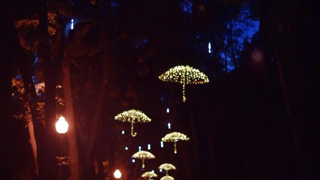 Led umbrellas on the trees of the alley in the central park. Full HD video vertical panorama. Night video shooting