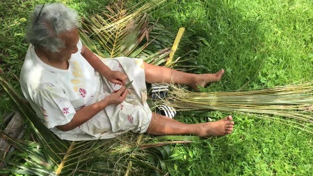 Above view of Pacific island woman prepares a broom from a coconut tree leaves in Rarotonga Cook Islands 