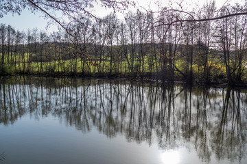Fototapeta na wymiar Kleiner See im Wald