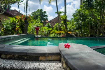 Abwaschbare Fototapete View on a pool in Ubud, Bali © Pierre