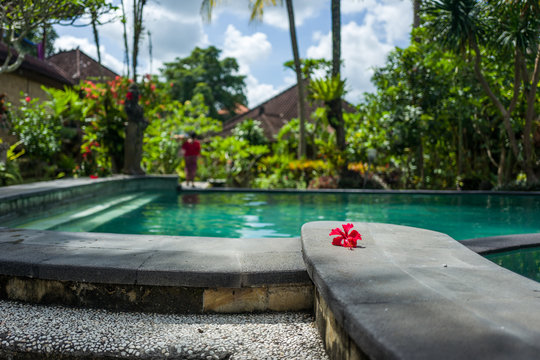 View on a pool in Ubud, Bali