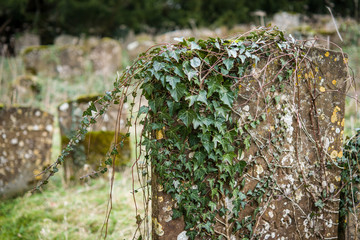 very old grave stones