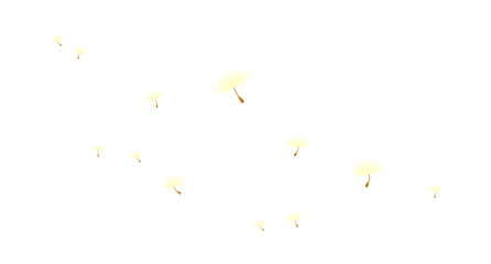 icon dandelion spore