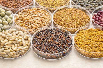 set of organic sprouting seeds and beans