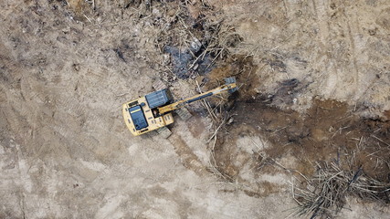 Deforestation. Environmental destruction of rainforest. Borneo forest destroyed for oil palm plantations  