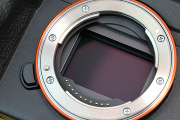 Digital mirrorless camera full frame sensor, macro shot