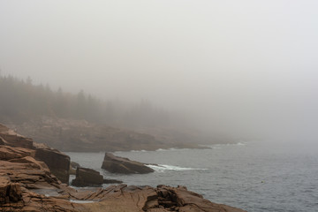 Acadia Shoreline