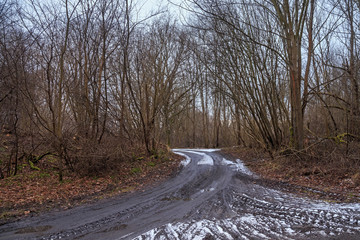 Rural road through the forest with the remains of snow in early spring.